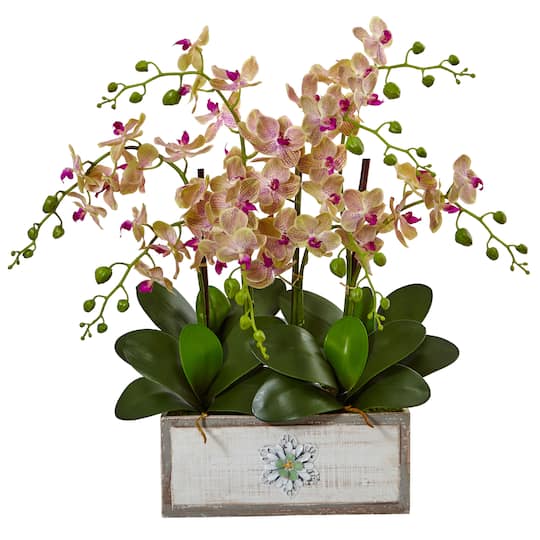 23&#x22; Cream &#x26; Pink Moth Orchid Arrangement in Decorative Wood Planter